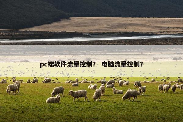 pc端软件流量控制？ 电脑流量控制？