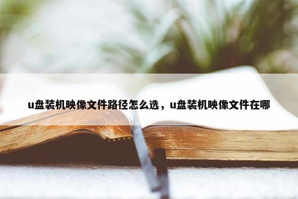 u盘装机映像文件路径怎么选，u盘装机映像文件在哪