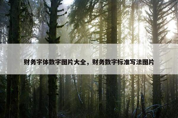 财务字体数字图片大全，财务数字标准写法图片