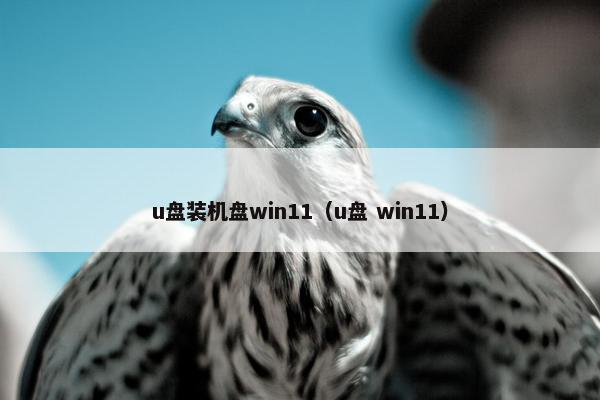 u盘装机盘win11（u盘 win11）