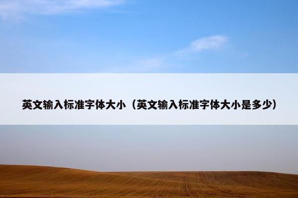 英文输入标准字体大小（英文输入标准字体大小是多少）