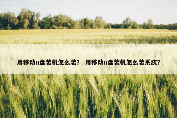 用移动u盘装机怎么装？ 用移动u盘装机怎么装系统？