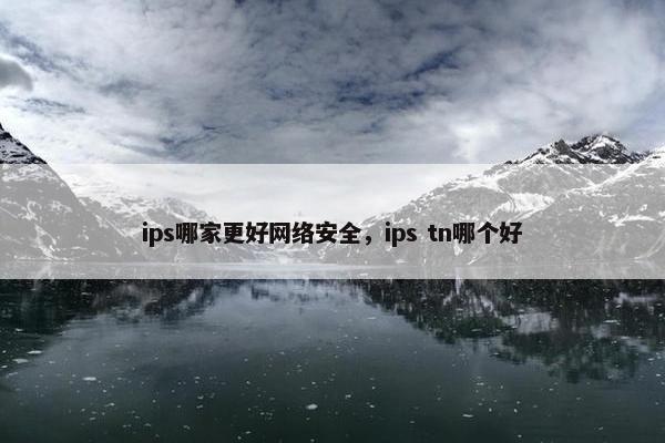 ips哪家更好网络安全，ips tn哪个好