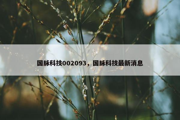 国脉科技002093，国脉科技最新消息