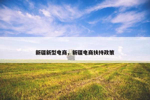新疆新型电商，新疆电商扶持政策
