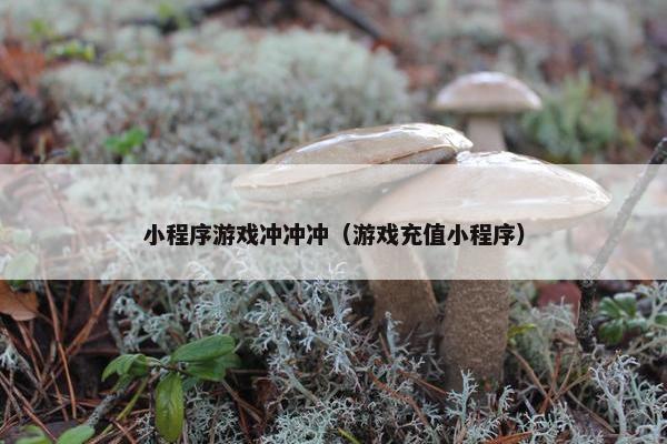 小程序游戏冲冲冲（游戏充值小程序）