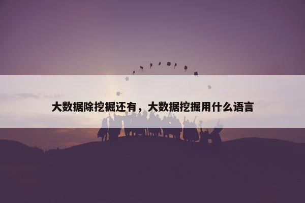大数据除挖掘还有，大数据挖掘用什么语言