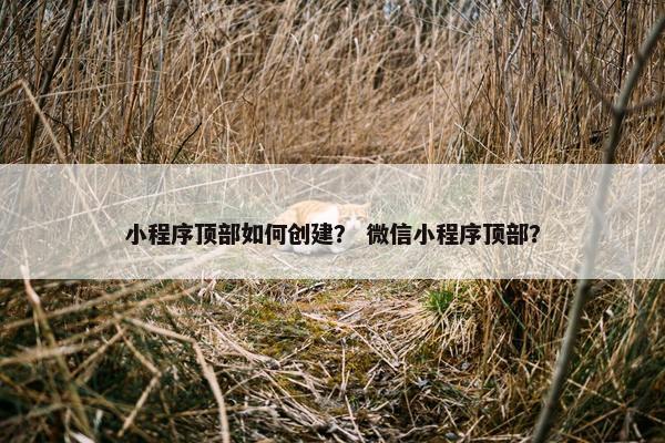 小程序顶部如何创建？ 微信小程序顶部？