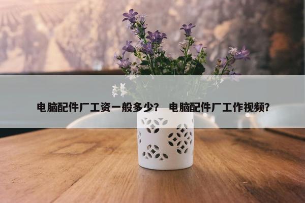 电脑配件厂工资一般多少？ 电脑配件厂工作视频？