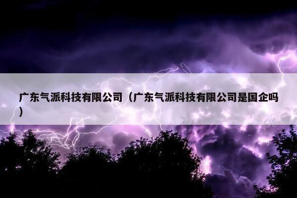 广东气派科技有限公司（广东气派科技有限公司是国企吗）