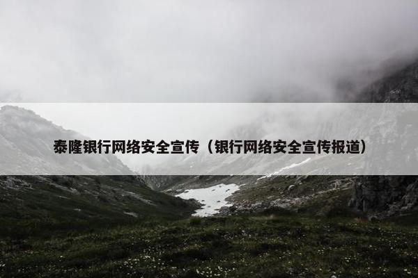 泰隆银行网络安全宣传（银行网络安全宣传报道）