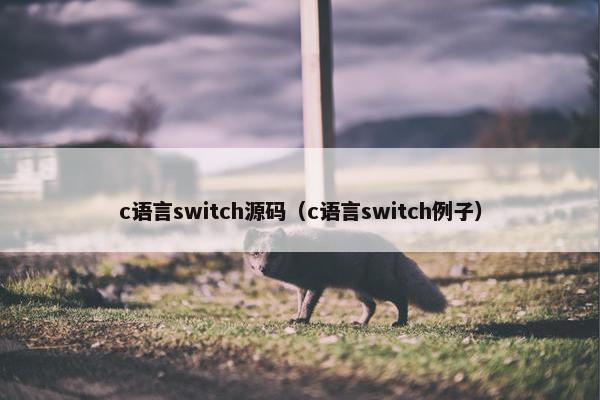 c语言switch源码（c语言switch例子）