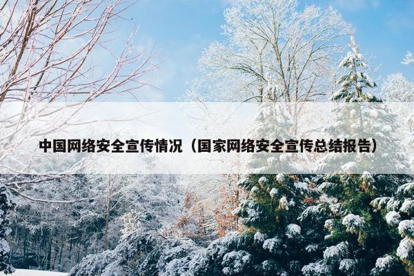 中国网络安全宣传情况（国家网络安全宣传总结报告）