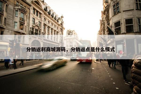 分销返利商城源码，分销返点是什么模式