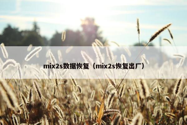 mix2s数据恢复（mix2s恢复出厂）