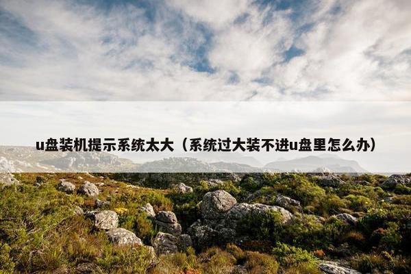 u盘装机提示系统太大（系统过大装不进u盘里怎么办）