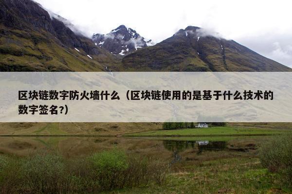 区块链数字防火墙什么（区块链使用的是基于什么技术的数字签名?）