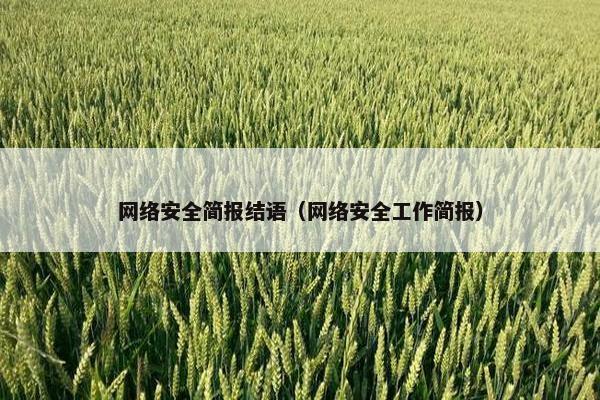 网络安全简报结语（网络安全工作简报）