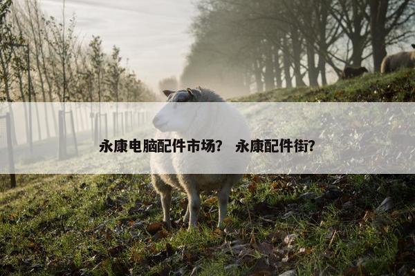 永康电脑配件市场？ 永康配件街？