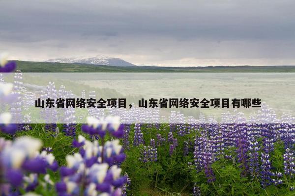 山东省网络安全项目，山东省网络安全项目有哪些