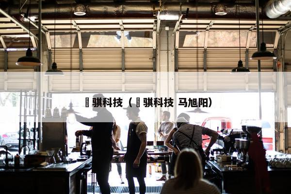 鹍骐科技（鹍骐科技 马旭阳）