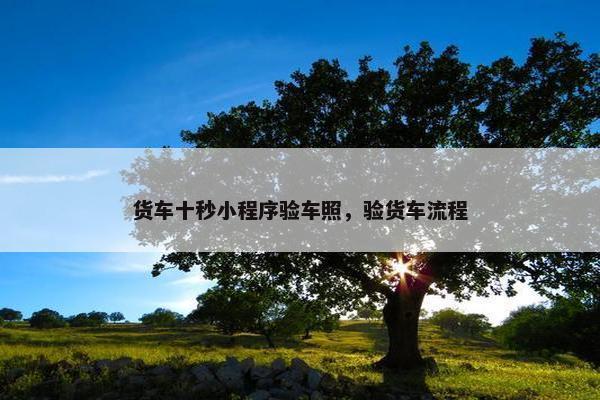货车十秒小程序验车照，验货车流程