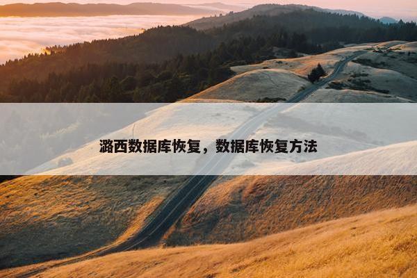 潞西数据库恢复，数据库恢复方法