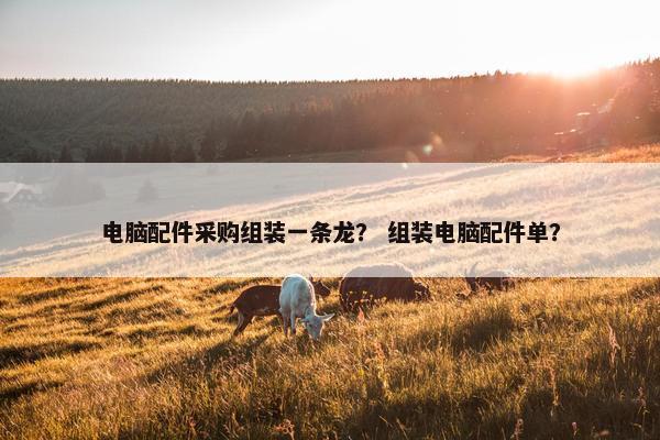 电脑配件采购组装一条龙？ 组装电脑配件单？
