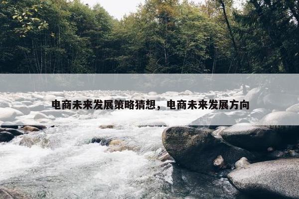电商未来发展策略猜想，电商未来发展方向