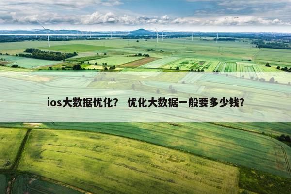 ios大数据优化？ 优化大数据一般要多少钱？