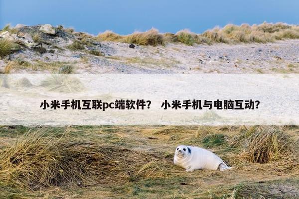 小米手机互联pc端软件？ 小米手机与电脑互动？