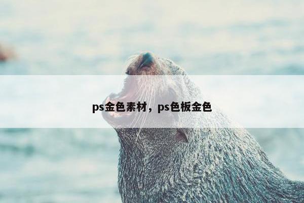 ps金色素材，ps色板金色