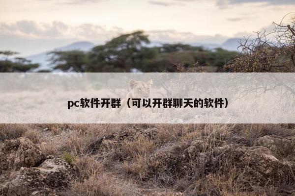 pc软件开群（可以开群聊天的软件）