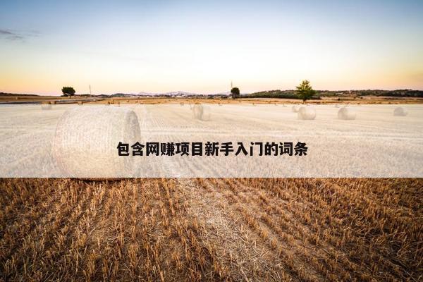 包含网赚项目新手入门的词条