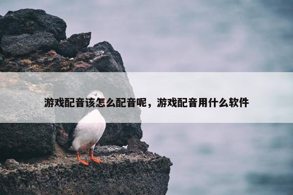 游戏配音该怎么配音呢，游戏配音用什么软件