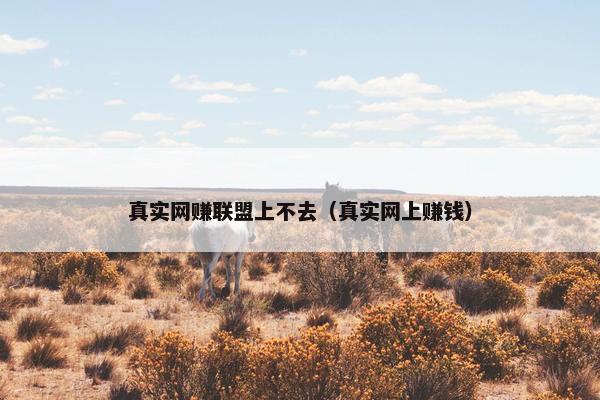 真实网赚联盟上不去（真实网上赚钱）