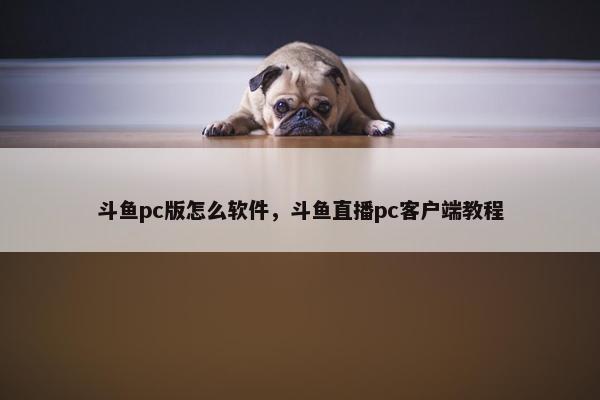 斗鱼pc版怎么软件，斗鱼直播pc客户端教程