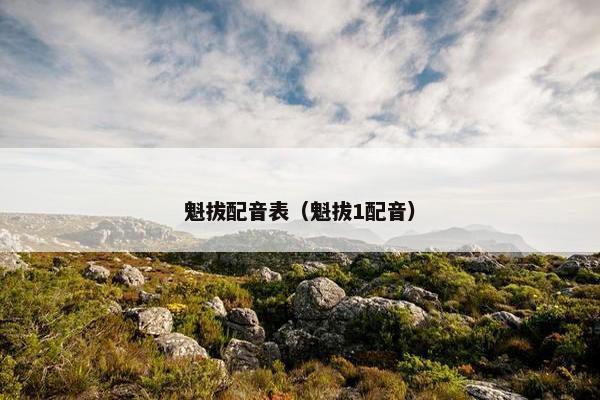 魁拔配音表（魁拔1配音）