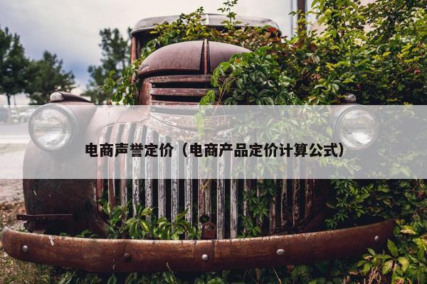 电商声誉定价（电商产品定价计算公式）