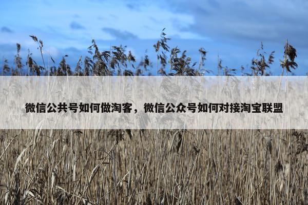 微信公共号如何做淘客，微信公众号如何对接淘宝联盟