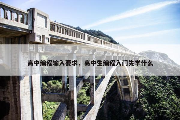 高中编程输入要求，高中生编程入门先学什么