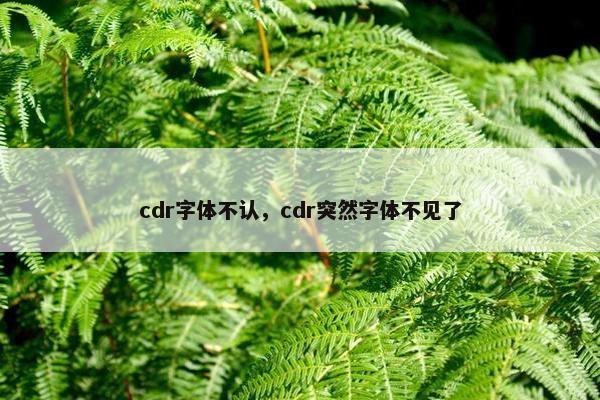 cdr字体不认，cdr突然字体不见了