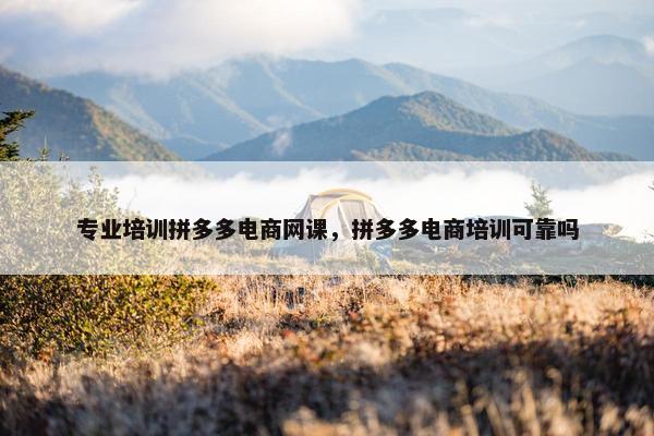 专业培训拼多多电商网课，拼多多电商培训可靠吗