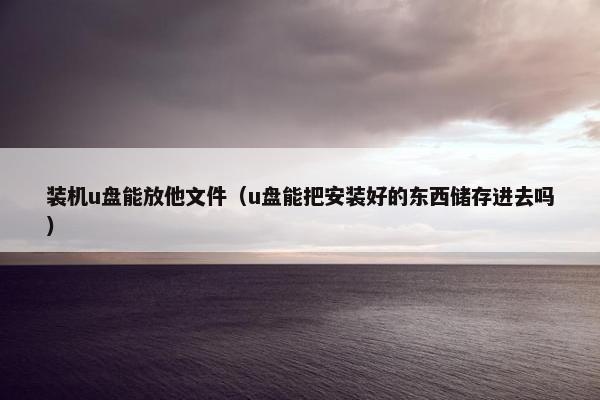装机u盘能放他文件（u盘能把安装好的东西储存进去吗）