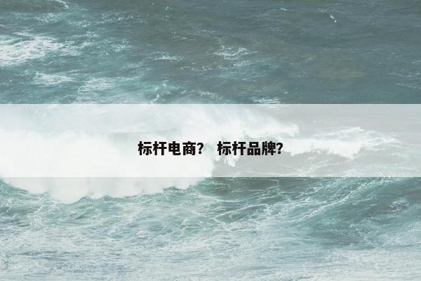 标杆电商？ 标杆品牌？