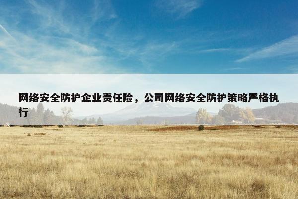 网络安全防护企业责任险，公司网络安全防护策略严格执行