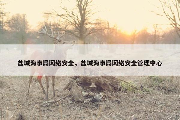盐城海事局网络安全，盐城海事局网络安全管理中心