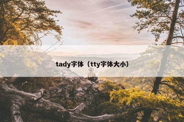 tady字体（tty字体大小）
