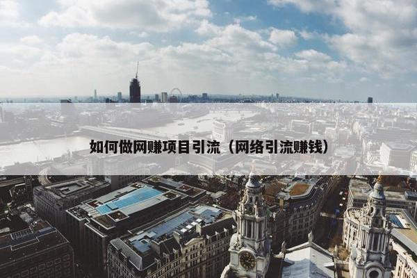 如何做网赚项目引流（网络引流赚钱）