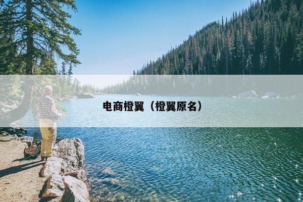 电商橙翼（橙翼原名）
